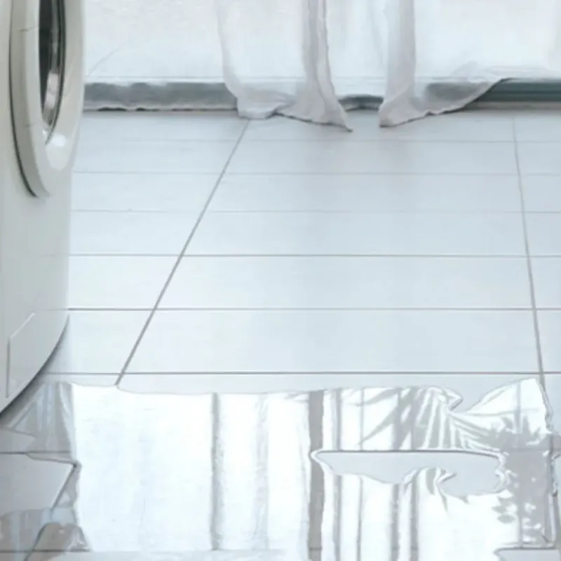 Appliance Leak Cleanup in Columbus, TX