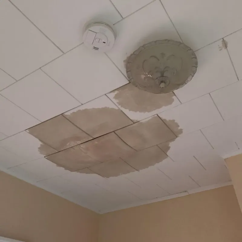 Ceiling Water Damage Repair in Columbus, TX