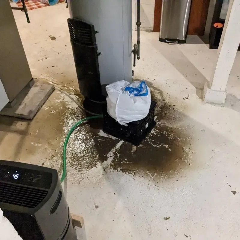 Sewage Backup Cleanup Service in Columbus, TX